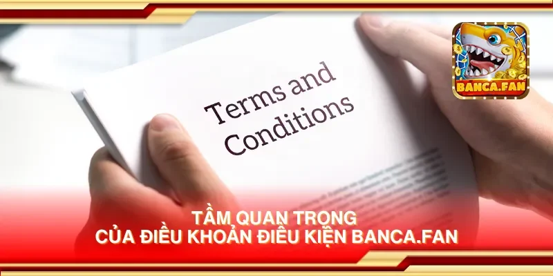 Tầm quan trọng của điều khoản điều kiện apkgosu.io